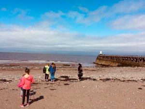 Beach Clean Up