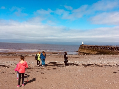 Beach Clean Up